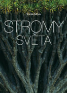 Stromy světa