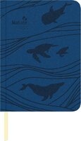 2027 Ocean malý