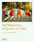 Joel Meyerowitz: A Question of Colour
