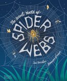 The Secret World of Spider Webs