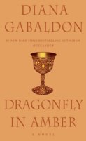 Dragonfly In Amber