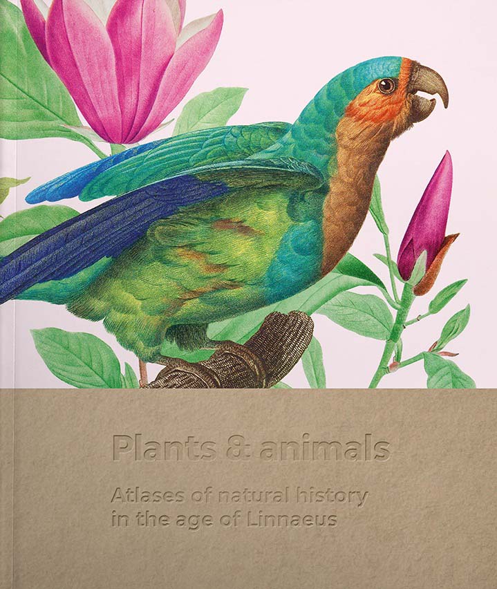 Plants and Animals