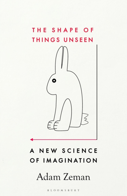 The Shape of Things Unseen