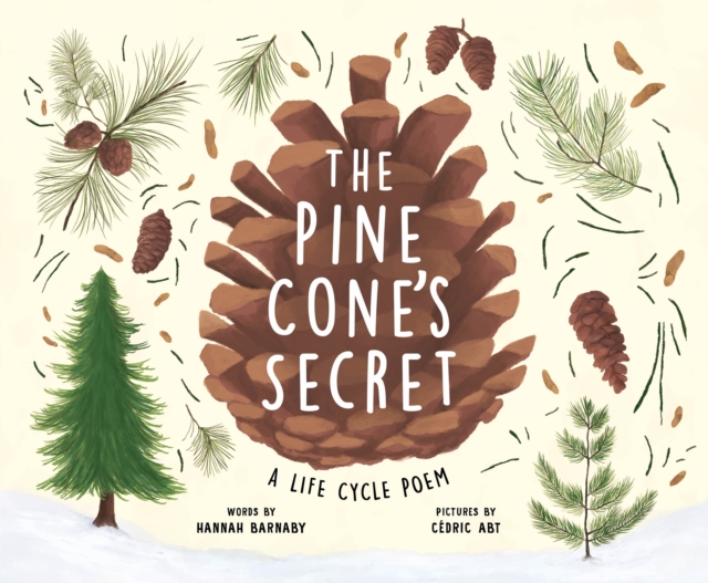 The Pine Cones Secret