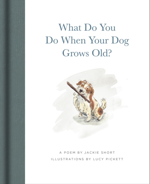What Do You Do When Your Dog Grows Old?