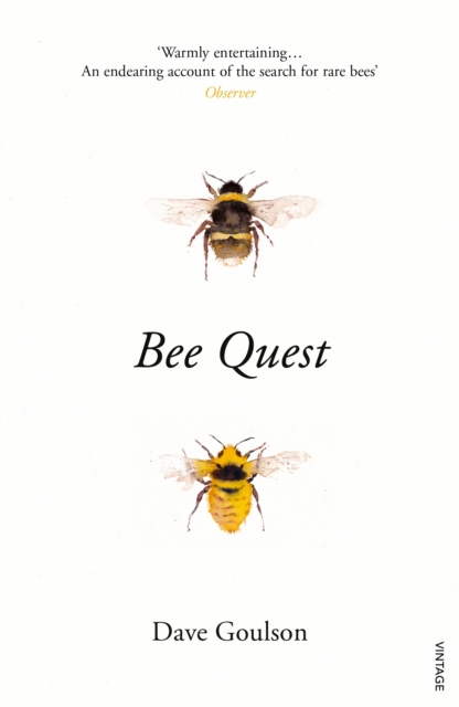 Bee Quest